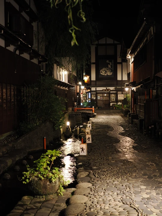 Yanaka Lane