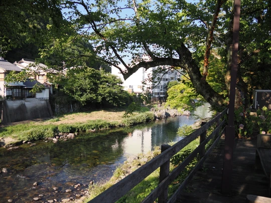 Yoshida River