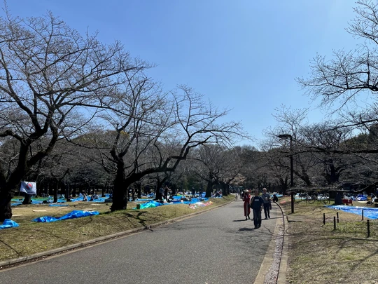 Yoyogi Park