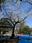 Yoyogi Park