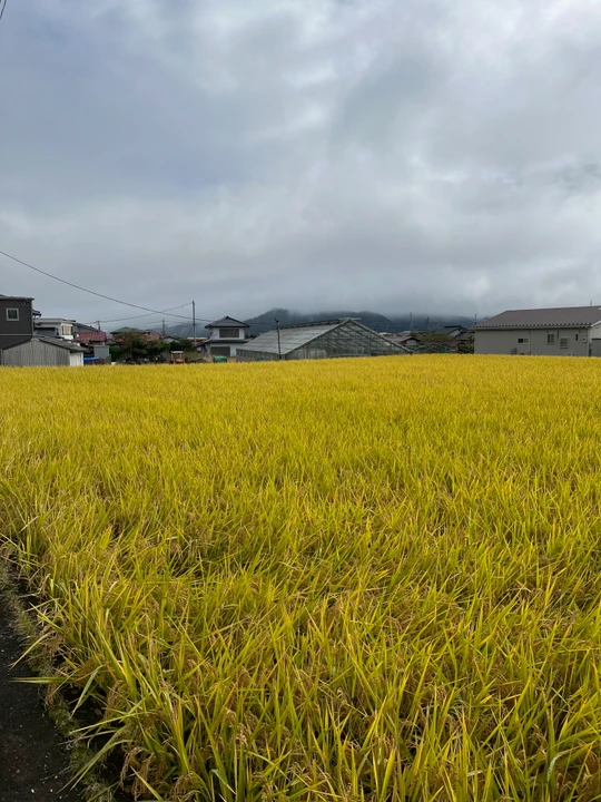 Fujiyoshida