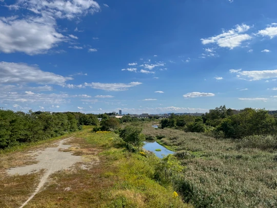 Hachioji