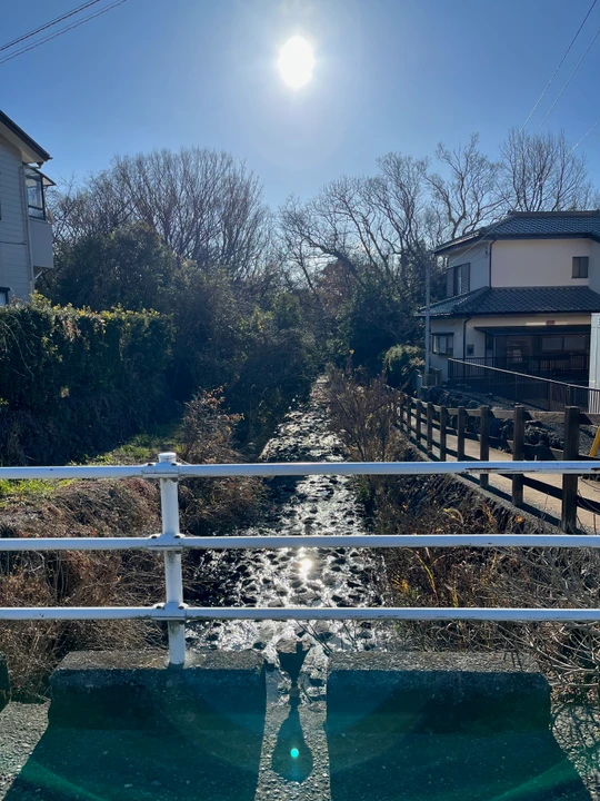 Tsumekizaki