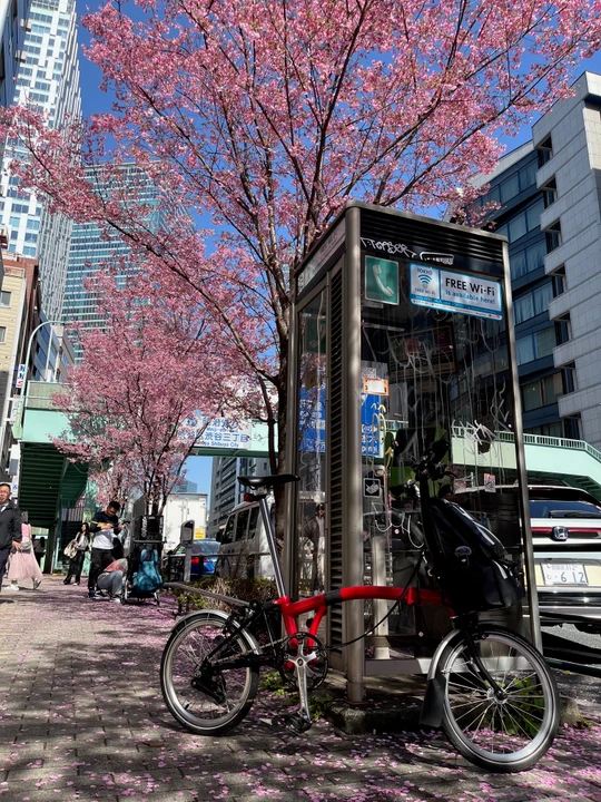 Tokyo
