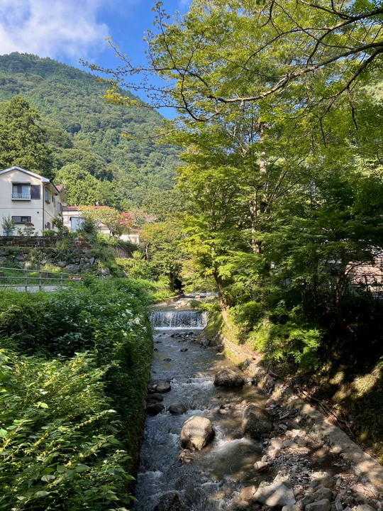 Ashigara