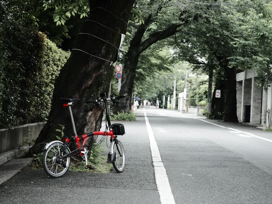 Setagaya