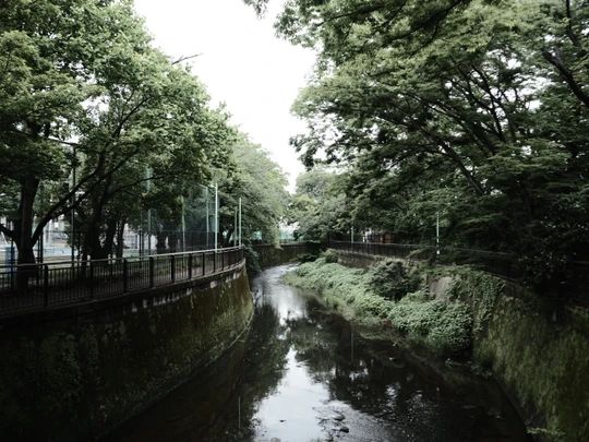 Setagaya