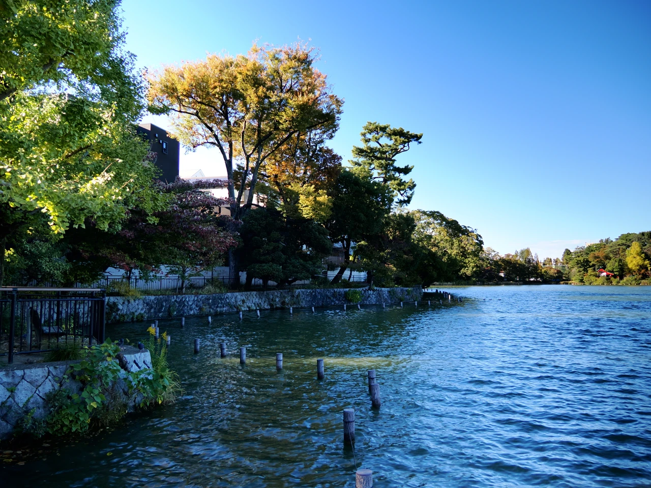 Senzokuike